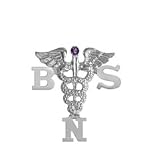 NursingPin - Bachelor of Science in Nursing BSN Graduation Pin with Amethyst in Silver