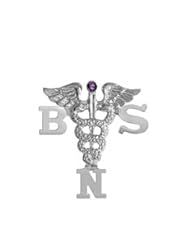NursingPin - Bachelor of Science in Nursing BSN Graduation Pin with Amethyst in Silver