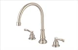 2 Hdl Brushed Nickel Gooseneck Kitchen Faucet