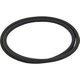 Sta-Rite Posi-Flo Filter Lid O-Ring O-419 31935-0001