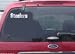 Pittsburgh Steelers Metallic Silver Window Graphic