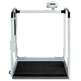 Electronic Multifunctional Scale