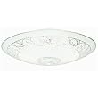 Westinghouse Lighting 66206 Ceiling Fixture