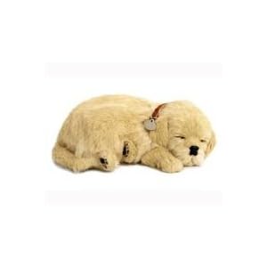 Perfect Petzzz Golden Retriever by