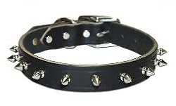 Omni Pet No.100LK-BK22 Leather Spiked 1-Ply Latigo Collar 1inx 22in Color Black