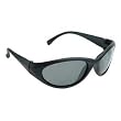 COBALT2 Radians Cobalt Safety Glasses with Polarized Smoke Lens