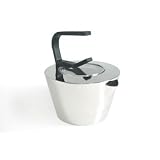 WellShinyStainlessSteelTeaKettle
