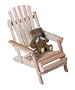Adirondack Chair Jr