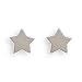 Stainless Steel Star Stud Earrings