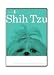 Shih Tzu Dog Grooming Instructional How To DVD Video and Equipment Guide