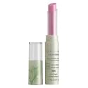 CoverGirl Natureluxe Gloss - Balm, Tulip 205 - .07 oz