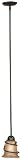 Hunter Kenroy Twigs Mini Pendant Light in Bronze Finish