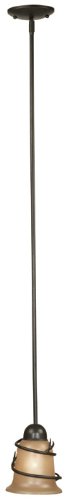 Hunter Kenroy Twigs Mini Pendant Light in Bronze Finish