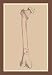 Skeleton #2 - 16x24 Giclee Fine Art Print framed in Gold (20x30 finished)
