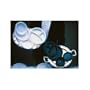 SEPSMWGNP71300 - White Round Plastic Plate - 10-1/4