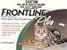 Kitchen & Housewares : Frontline Plus cat 6 month pack