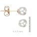 14k Gold, 6-6.5mm Cultured Pearl Stud Earrings