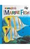 Australian Marine Fish (Nature Kids)