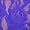 Electric Purple