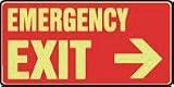 Exit Sign - EMERGENCY AND FIRE E EMERGENCY EXIT (ARROW RIGHT) (GLOW) 7