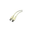 6Ft USB 2.0 A (Male) to A (Male) cable