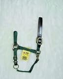 Hamilton Halter Company 11-16 1 Adj Lthr Hdpl Halter B Hunter Green Large - 1DALSS LGDG