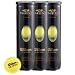 Wilson US Open Tennis Balls (1 dozen)