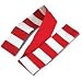 Good Lite Opto Kinetic Flag