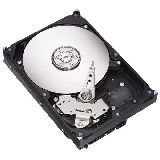 Seagate 400 GB Internal Ultra-ATA Hard Drive ( ST3400632A-RK )