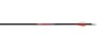 6 - Pk. Carbon Express Thunderstorm Shafts with Predator Vanes