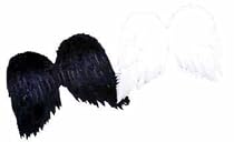 White Economy Feather Wings Adult