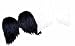 White Economy Feather Wings PB Adult Costume Accessory