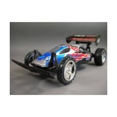 RC R/C Buggy Auto Wild Raider 1:10 Modell Elektro RTR