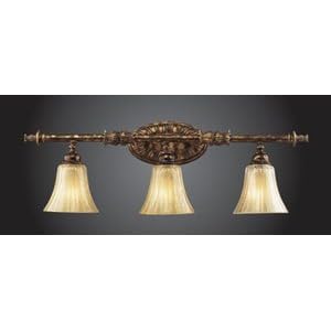 Bedminster Collection Burnt Gold Leaf 3-Light Bath Fixture by Trump Home