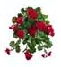 Faux 32 Water-Resistant Geranium Hanging Bush x10 RED (Pack of 6)