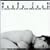 WBCN Naked 2000
