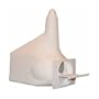 S & K Purple Martin Gourd Shaped House