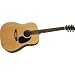 Rogue RA-100D Dreadnought Acoustic Guitar, Natural