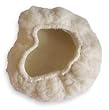 Westward 1VUD2 Polishing Pad, 7 In, 100 Pct Terylene
