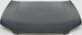 00-03 NISSAN MAXIMA HOOD (2000 00 2001 01 2002 02 2003 03) NS2108 F51005Y7CM