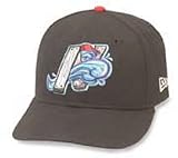 Minor League Baseball Cap - Norfolk Tides Road Cap by New Era