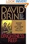 Brightness Reef  (Bantam Spectra Book)