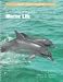 Laboratory & Field Investigations in Marine Life: Gulf Coast Version