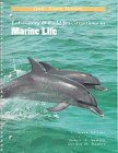 Laboratory & Field Investigations in Marine Life: Gulf Coast Version