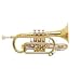 Stradivarius Bb Cornet Short Model 184 Lacquer .465 bore