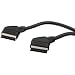 HQ 2-fach geschirmtes Scart Kabel 10 m