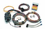 Painless 20102 Custom Wiring Harness