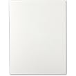 Crane's Choice 90lb. Pearl Wt. Wove Cover 26 x 40 Sheets