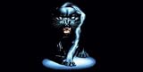 AIRBRUSHED LICENSE PLATES -BLACK PANTHER LICENSE PLATE - #831