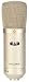 GXL2400 Large Diaphragm Condenser Microphone
